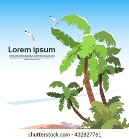 Tropical Island Palm Tree Gull In Sky Summer Vacation Flat Vector Illustration