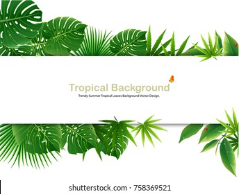 Tropical island spring of beautiful plants green and adstract bachgrounds vectors design.