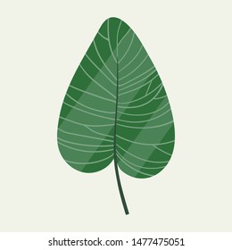 tropical isoleted leaf on light green background vector illustration hand draw illustration  background