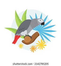 A tropical Jaco parrot sits on a branch with leaves of tropical plants. Vector illustration isolated on white background