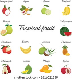 tropical juicy drawing colorful fruit icons