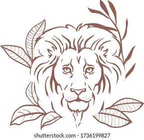 tropical jungle animal lion hand drawn