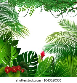 Tropical jungle background