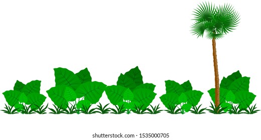 Tropical Jungle background. Landscape with tropical trees and plants. Vector illustration EPS10
