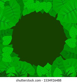 Tropical Jungle background. Leaves of the tropical trees and plants as frame. Vector illustration EPS10