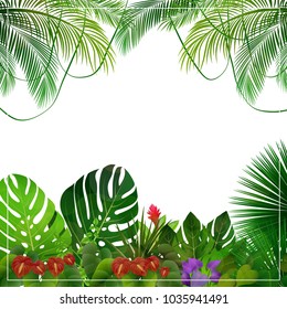 Tropical jungle background with palm trees and leaves on white background