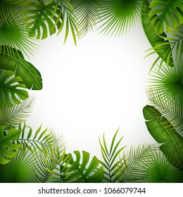 Tropical jungle background with palm trees and leaves on white background