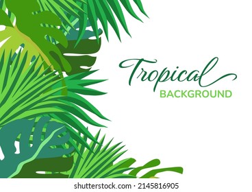 Tropical jungle background with palm trees and leaves on white background. Exotic botanical design for cosmetics, spa, perfume, health care products, aroma, wedding, web banners.