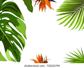 Tropical jungle background with palm trees and leaves on white background. Minimalism art. Modern decor. Vector.
