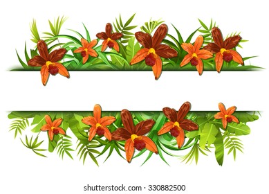 Tropical jungle background with space for text. Stylized plants, leaves and flowers orchids. Vector illustration.