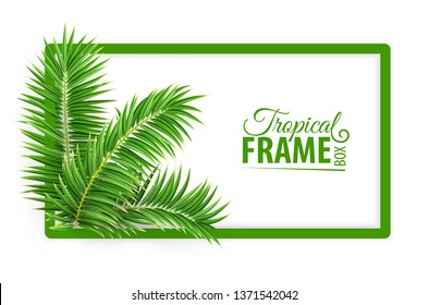 Tropical jungle botanical banner frame. Design layout with green palm tree leaves and place for text. Realistic isolated on white transparent background. Eps10 vector illustration.