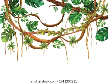 Tropical jungle climbing woody liana vine decorative realistic background with fan like monstera plant leaves vector illustration 