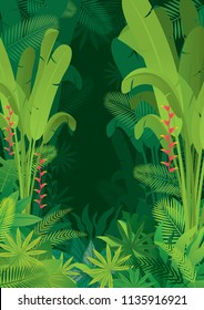 Tropical Jungle Dark Background, Forrest, Rainforest, Plant and Nature 