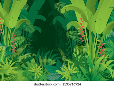 Tropical Jungle Dark Background, Forrest, Rainforest, Plant and Nature 