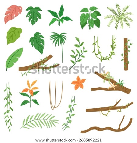 Tropical Jungle Elements Illustration for Design