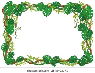 Tropical jungle forest frame with lianas and green monstera leaves, vector background. Jungle liana vine branches of ivy creeper plant with green hanging leaves for cartoon decoration background frame