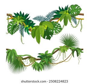 Selva tropical liana y la hiedra creeper planta con ramas de vid, Vector de dibujos animados. Liana tropical y selva amazónica árbol de algas o vid de hedera del bosque con hojas de monstruo trepador