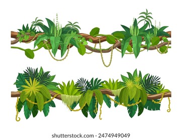 Tropical jungle forest liana vine branch. Cartoon vector leaves and hanging roots. African rainforest tree plant thicket, spinney, forest climbing green foliage. Amazon flora lianas, tropic nature