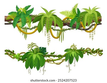 Tropical jungle forest liana and vine branch of ivy creeper plant, cartoon vector. Tropical rainforest liana and Amazon jungle bindweed tree with climbing and hanging green leaves of forest hedera