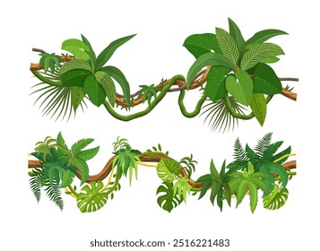 Floresta tropical liana vinhas e ramos de folhas de hera, vetor cartoon. Floresta tropical monstera folha, planta de samambaia ou liana selva e trepadeira árvore com gavinhas escaldantes para quadros