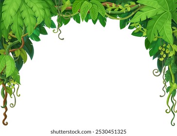 Tropical jungle forest liana vines frame of ivy branches and monstera leaves, vector background. Tropical rainforest or jungle liana frame of bindweed tree with climbing tendrils for background border