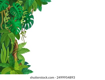 Tropical jungle forest lianas and monstera leaves background, vector corner frame. Cartoon tropical liana and ivy branches or creeper plant vines of monstera leaves on white blank background