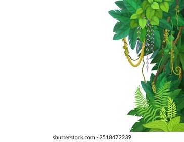 Tropical jungle forest lianas and vines background, vector frame of monstera leaves. Tropical rainforest creeper plants or jungle liana and bindweed tree with climbing tendrils on blank background