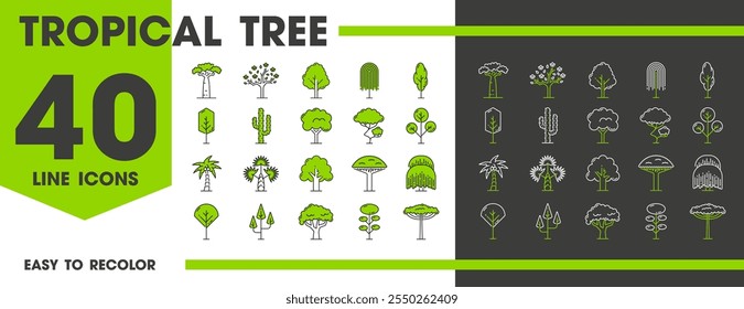 Tropical jungle forest trees line icons of jungle palms and baobab, vector symbols. Rainforest and Amazon or African trees icons of coconut palm, bonsai and willow with deciduous tree and leaf plants