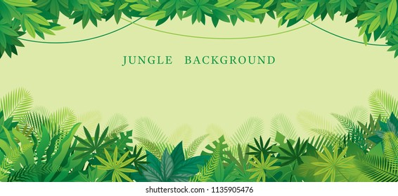 Tropical Jungle Frame, Forrest, Plant and Nature, Background