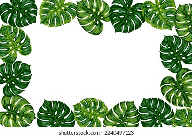 Tropical jungle frame with palm monstera leaf . Vector hand drawn border illustration for greeting card, poster, logo, packing. Banner with space for text.