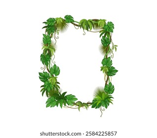 Tropical jungle frame of rainforest liana branches and leaves, vector background. Liana vine or ivy leaf frame of tropical creeping jungle tree, bindweed plant curly tendrils with monstera leaves