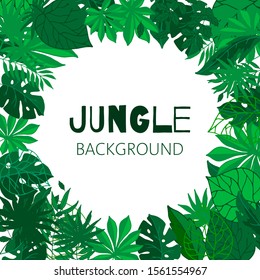Tropical jungle frame, vector illustration. Green exotic foliage background with palm trees and leaves. Jungle template for kids party invitation. Greenery frame.