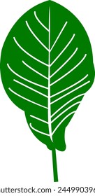 Tropical Jungle Green Leaf Vector Illustration for Eco-Friendly Vegan Products. Exotic Green Leaf Icon. Plant Design for Natural Bio Labels and Packaging.