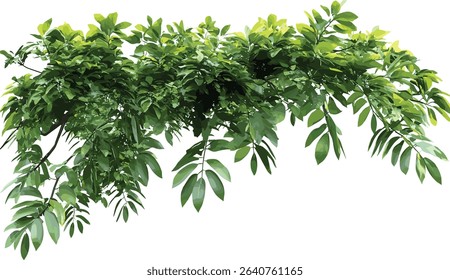 Tropical jungle greenery vector, transparent, tree branches, cutout illustrations, lush leaves, exotic foliage, nature design, green jungle, tropical plants, vibrant landscape