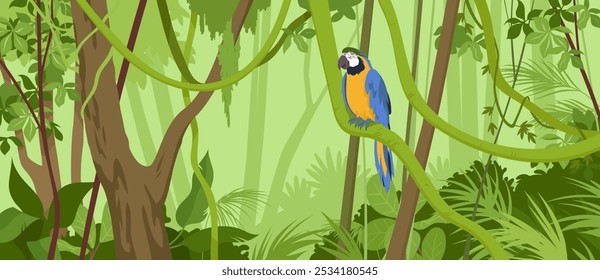 Tropical jungle landscape with Ara macaw sitting on green liana hanging from tree branch. Exotic nature scene and parrot with blue and yellow feathers of tail and wings cartoon vector illustration