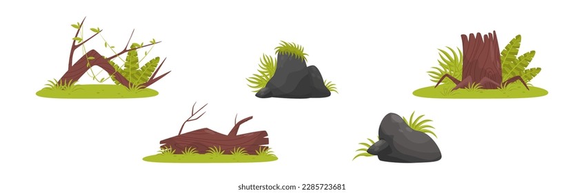 Tropical Jungle Landscape Design Elements Vector Set