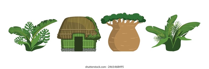 Tropical Jungle Landscape Design Elements and Object Vector Set