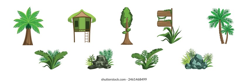Tropical Jungle Landscape Design Elements and Object Vector Set