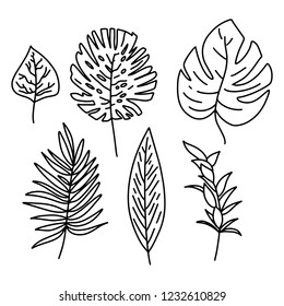 Tropical Jungle Leafs Handdrawn Collection Pattern Background