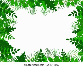 tropical jungle with leave background 