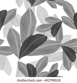 Tropical jungle leaves seamless pattern vector floral background