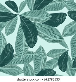 Tropical jungle leaves seamless pattern vector floral background