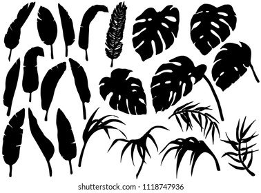 Tropical jungle leaves silhouettes set