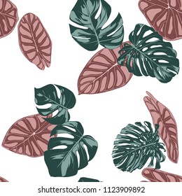 Tropical Jungle Leaves. Vector Seamless Pattern. Philodendron or Monstera Plant Repeating Background for Textile, Wallpaper, Summer Decoration. Floral Seamless Pattern with Alocasia and Monstera Leaf.