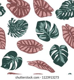 Tropical Jungle Leaves. Vector Seamless Pattern. Philodendron or Monstera Plant Repeating Background for Textile, Wallpaper, Summer Decoration. Floral Seamless Pattern with Alocasia and Monstera Leaf.