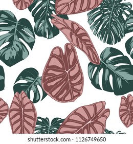 Tropical Jungle Leaves. Vector Seamless Pattern. Philodendron or Monstera Plant Repeating Background for Textile, Wallpaper, Summer Decoration. Floral Seamless Pattern with Alocasia and Monstera Leaf.