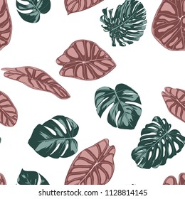 Tropical Jungle Leaves. Vector Seamless Pattern. Philodendron or Monstera Plant Repeating Background for Textile, Wallpaper, Summer Decoration. Floral Seamless Pattern with Alocasia and Monstera Leaf.