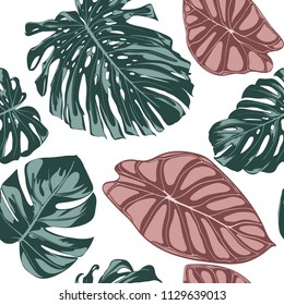 Tropical Jungle Leaves. Vector Seamless Pattern. Philodendron or Monstera Plant Repeating Background for Textile, Wallpaper, Summer Decoration. Floral Seamless Pattern with Alocasia and Monstera Leaf.