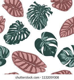 Tropical Jungle Leaves. Vector Seamless Pattern. Philodendron or Monstera Plant Repeating Background for Textile, Wallpaper, Summer Decoration. Floral Seamless Pattern with Alocasia and Monstera Leaf.