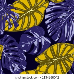 Tropical Jungle Leaves. Vector Seamless Pattern. Philodendron or Monstera Plant Repeating Background for Textile, Wallpaper, Summer Decoration. Floral Seamless Pattern with Alocasia and Monstera Leaf.